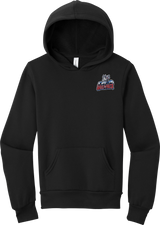 Hartford Jr. Wolfpack Youth Sponge Fleece Pullover Hoodie