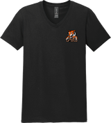 Princeton Tiger Lilies Softstyle V-Neck T-Shirt