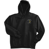 Delaware Jr. Blue Hens Super Heavyweight Fleece Hoodie